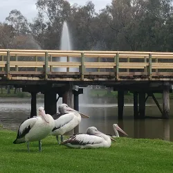 Lake Forbes - Forbes