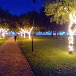 Parkes Elvis Festival (nearby) - Forbes