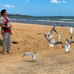 Frankston Beach - Frankston