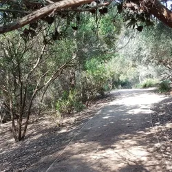 George Pentland Botanic Gardens - Frankston