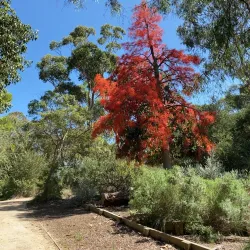 George Pentland Botanic Gardens - Frankston