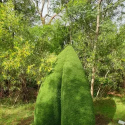 McClelland Sculpture Park and Gallery - Frankston