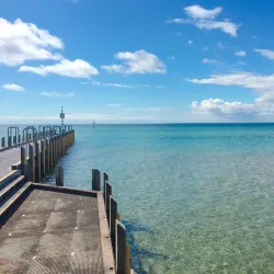Olivers Hill Lookout - Frankston