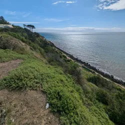 Olivers Hill Lookout - Frankston