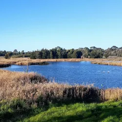 Seaford Wetlands - Frankston