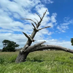 Seaford Wetlands - Frankston