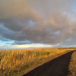 Seaford Wetlands - Frankston