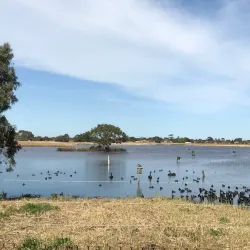 Seaford Wetlands - Frankston
