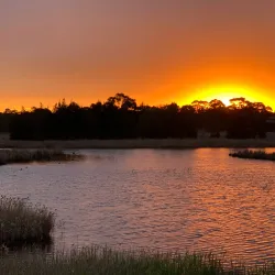Seaford Wetlands - Frankston