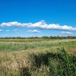 Seaford Wetlands - Frankston