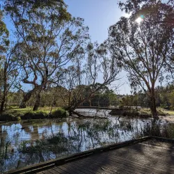 Balyang Sanctuary - Geelong