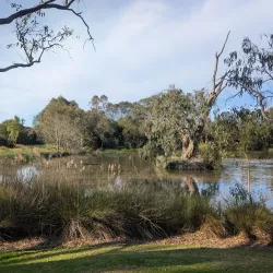 Balyang Sanctuary - Geelong