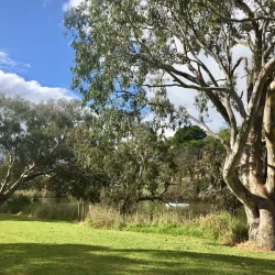 Balyang Sanctuary - Geelong