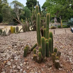 Geelong Botanic Gardens - Geelong