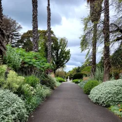 Geelong Botanic Gardens - Geelong
