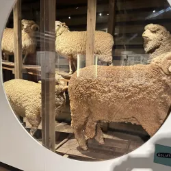 National Wool Museum - Geelong