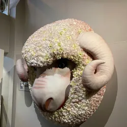 National Wool Museum - Geelong