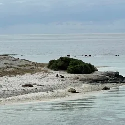 Abrolhos Islands - Geraldton