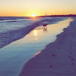 Greys Beach - Geraldton
