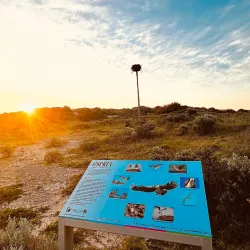 Point Moore Lighthouse - Geraldton