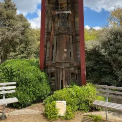 Gisborne Botanic Gardens - Gisborne