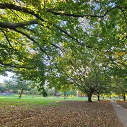 Gisborne Botanic Gardens - Gisborne