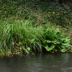 Gisborne Botanic Gardens - Gisborne