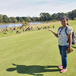 Gisborne Golf Club - Gisborne