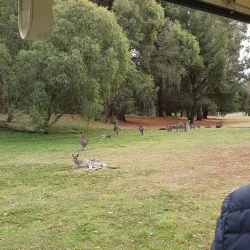 Gisborne Golf Club - Gisborne