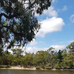 Gisborne Golf Club - Gisborne