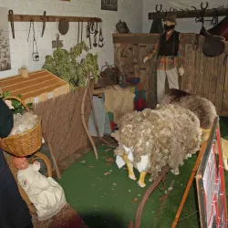 Gisborne Historical Society Museum - Gisborne