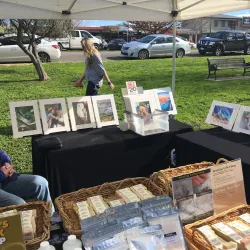 Gisborne Market - Gisborne