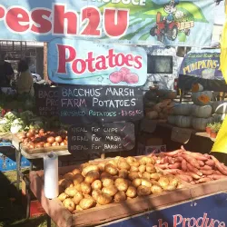 Gisborne Market - Gisborne