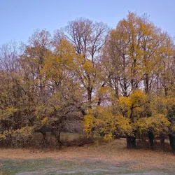 Gisborne Pioneer Park - Gisborne