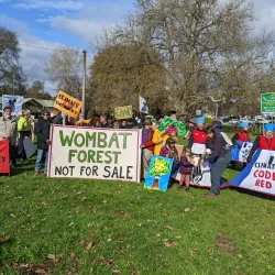 Gisborne Pioneer Park - Gisborne
