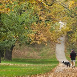 Gisborne Pioneer Park - Gisborne