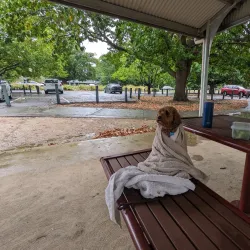 Gisborne Pioneer Park - Gisborne