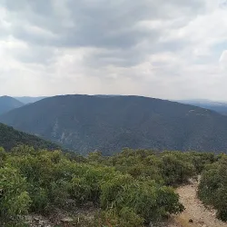 Lerderderg State Park - Gisborne