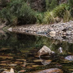 Lerderderg State Park - Gisborne