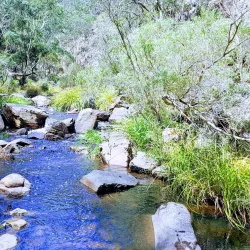 Lerderderg State Park - Gisborne