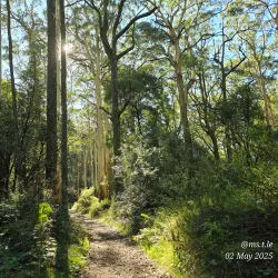 Macedon Ranges National Park - Gisborne
