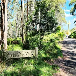 Macedon Ranges National Park - Gisborne