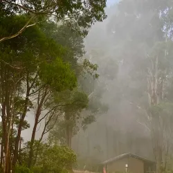 Macedon Ranges National Park - Gisborne