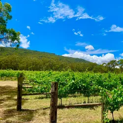 Macedon Ranges Wine Region - Gisborne