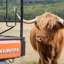 Macedon Ranges Wine Region - Gisborne