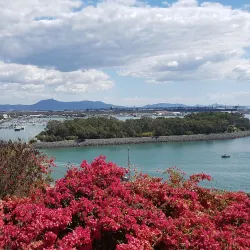 Auckland Point Lookout - Gladstone