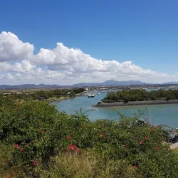 Auckland Point Lookout - Gladstone