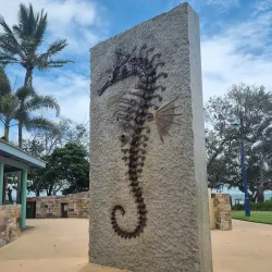 Tannum Sands Beach - Gladstone