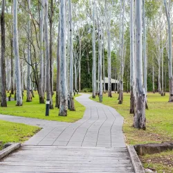 Tondoon Botanic Gardens - Gladstone