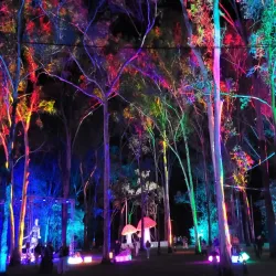 Tondoon Botanic Gardens - Gladstone